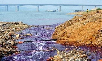全國城市水質監測結果出爐，水污染治理成效幾何？
