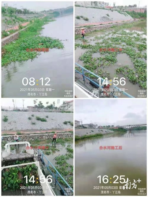 茂南水務局多措并舉，筑牢水污染防治監管防線