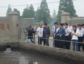 強化監(jiān)管，系統(tǒng)治理 區(qū)人大五項建議助推水污染防治工作邁向新臺階