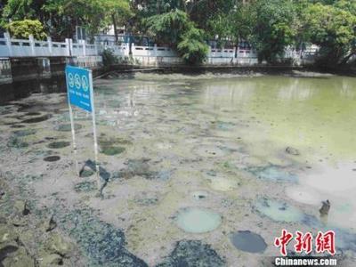 力度升級！生態環境部出“狠招”治理水污染