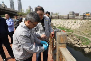 哈爾濱市人大常委會持續推進水污染治理工作的實踐與展望